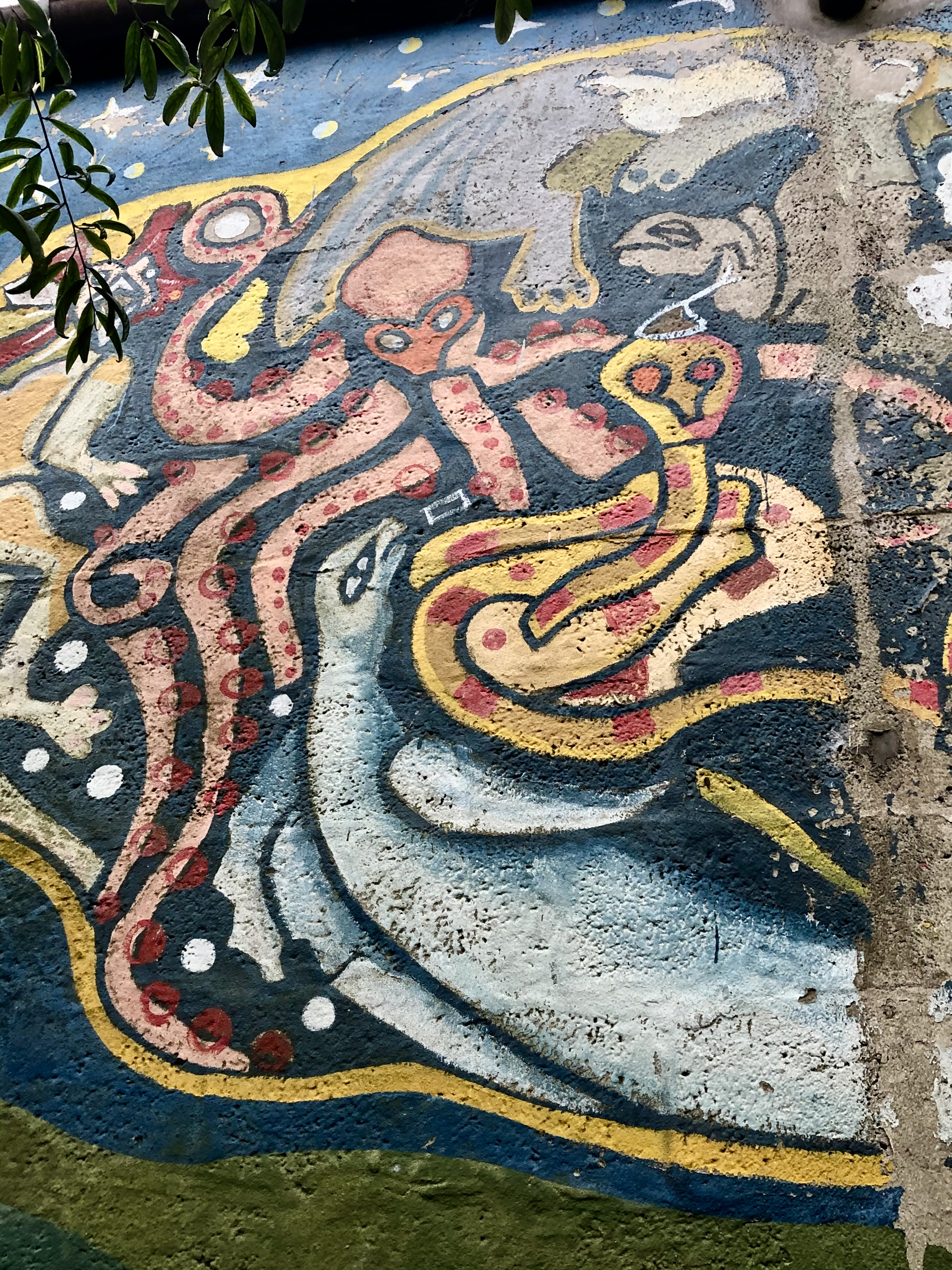 octopus