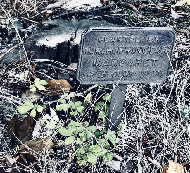 Margaret