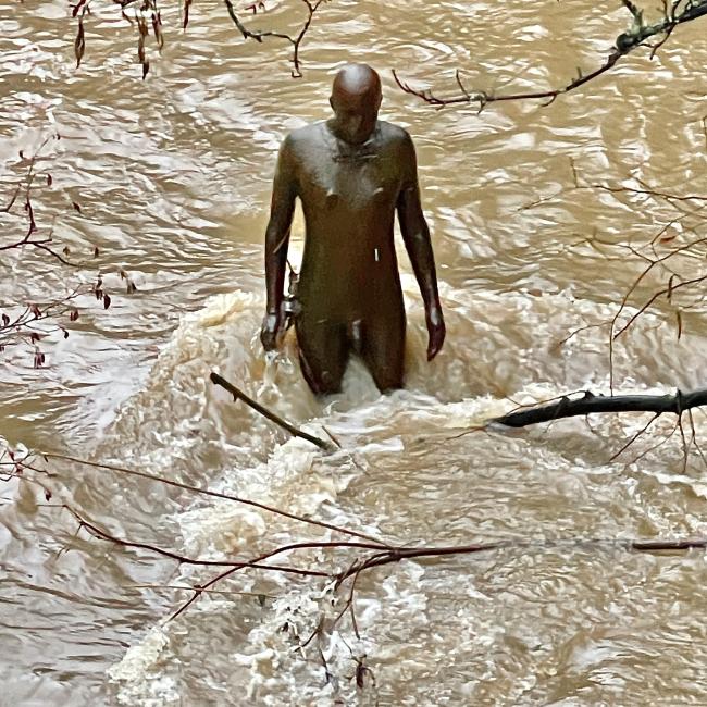 Stockbridge Gormley