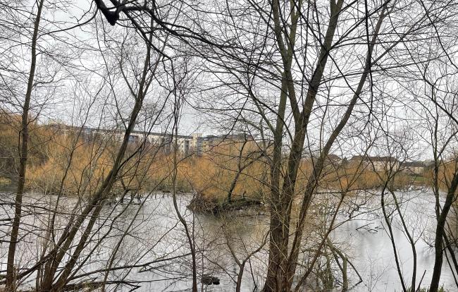 Lochend Park