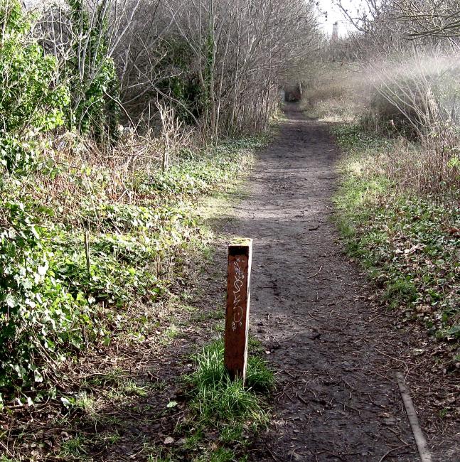 cycle path