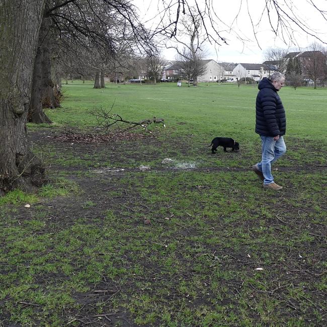 Man with dog and mud